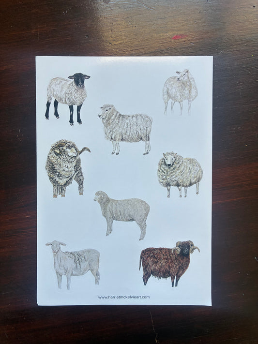Sheep Breeds stickers