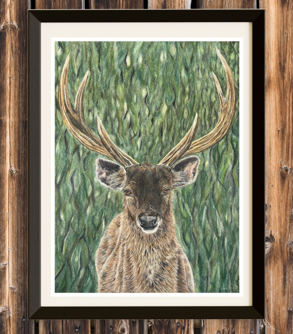 ‘Big Sam’ Sambar Stag Print