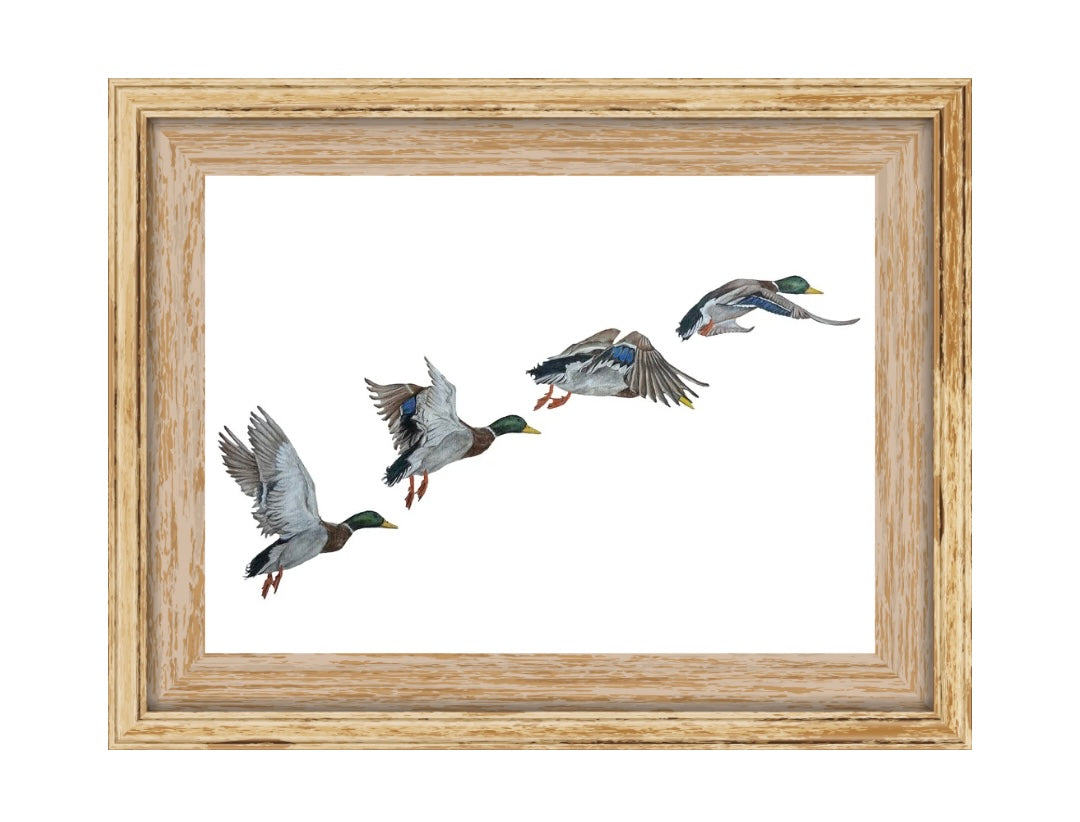 ‘The one that got away’ Print