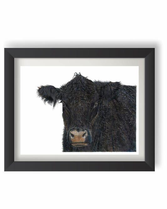 ‘Big Angus’ Print