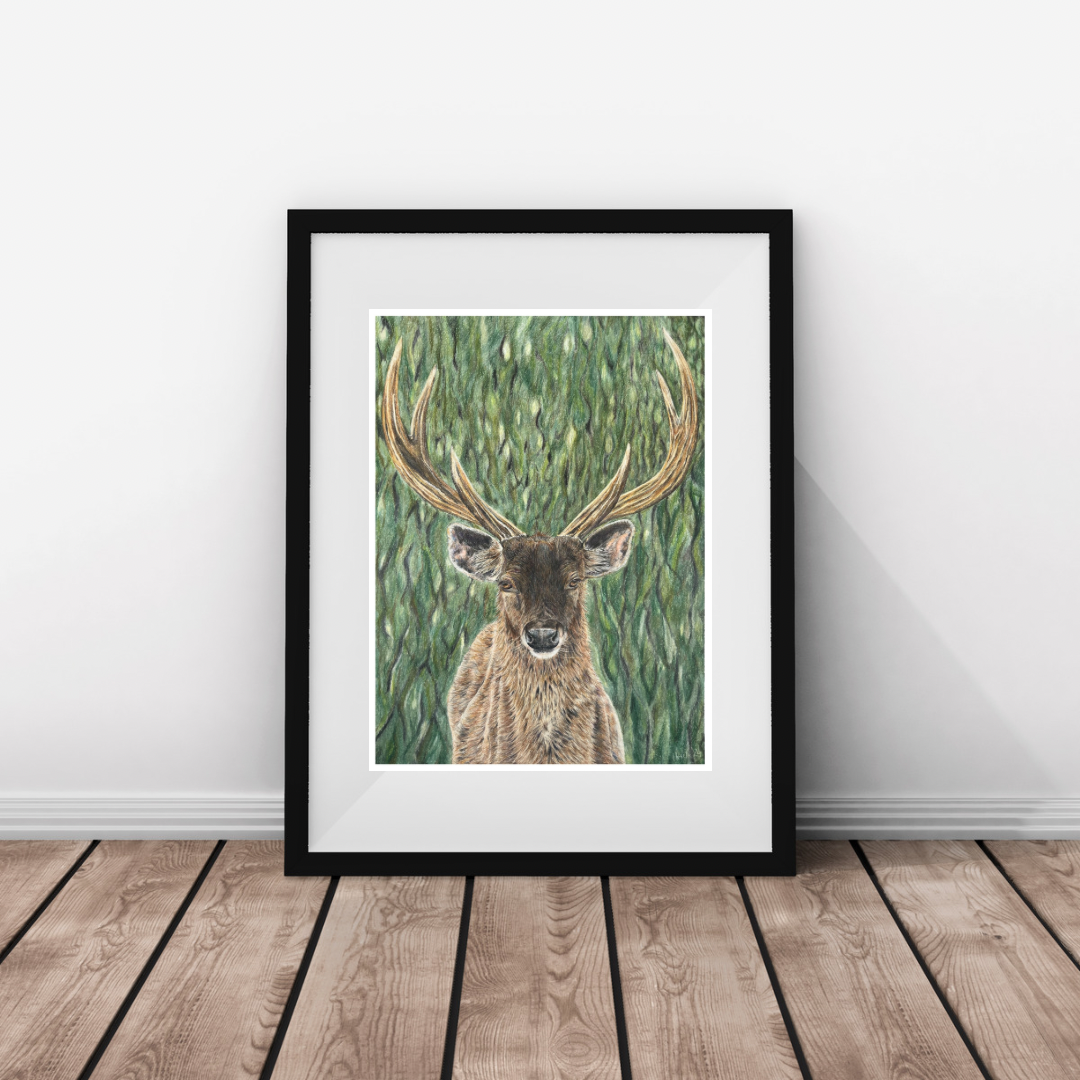 ‘Big Sam’ Sambar Stag Print