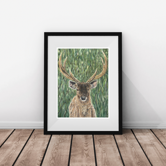 ‘Big Sam’ Sambar Stag Print