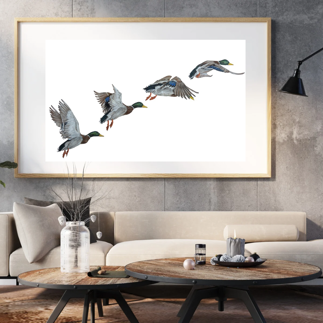 ‘The one that got away’ Print