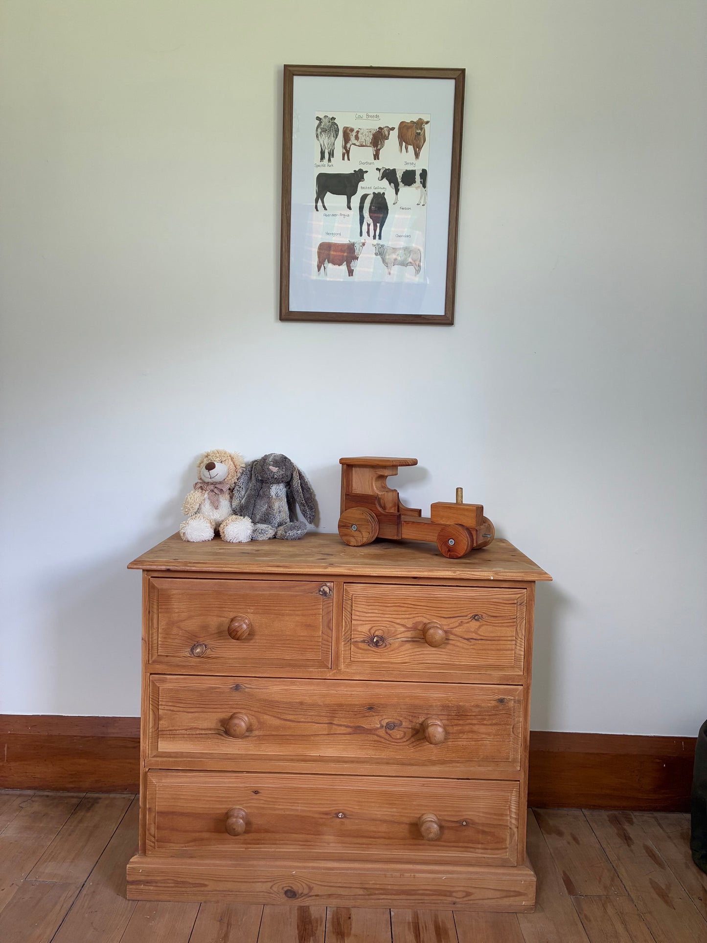 Cow Breeds Print