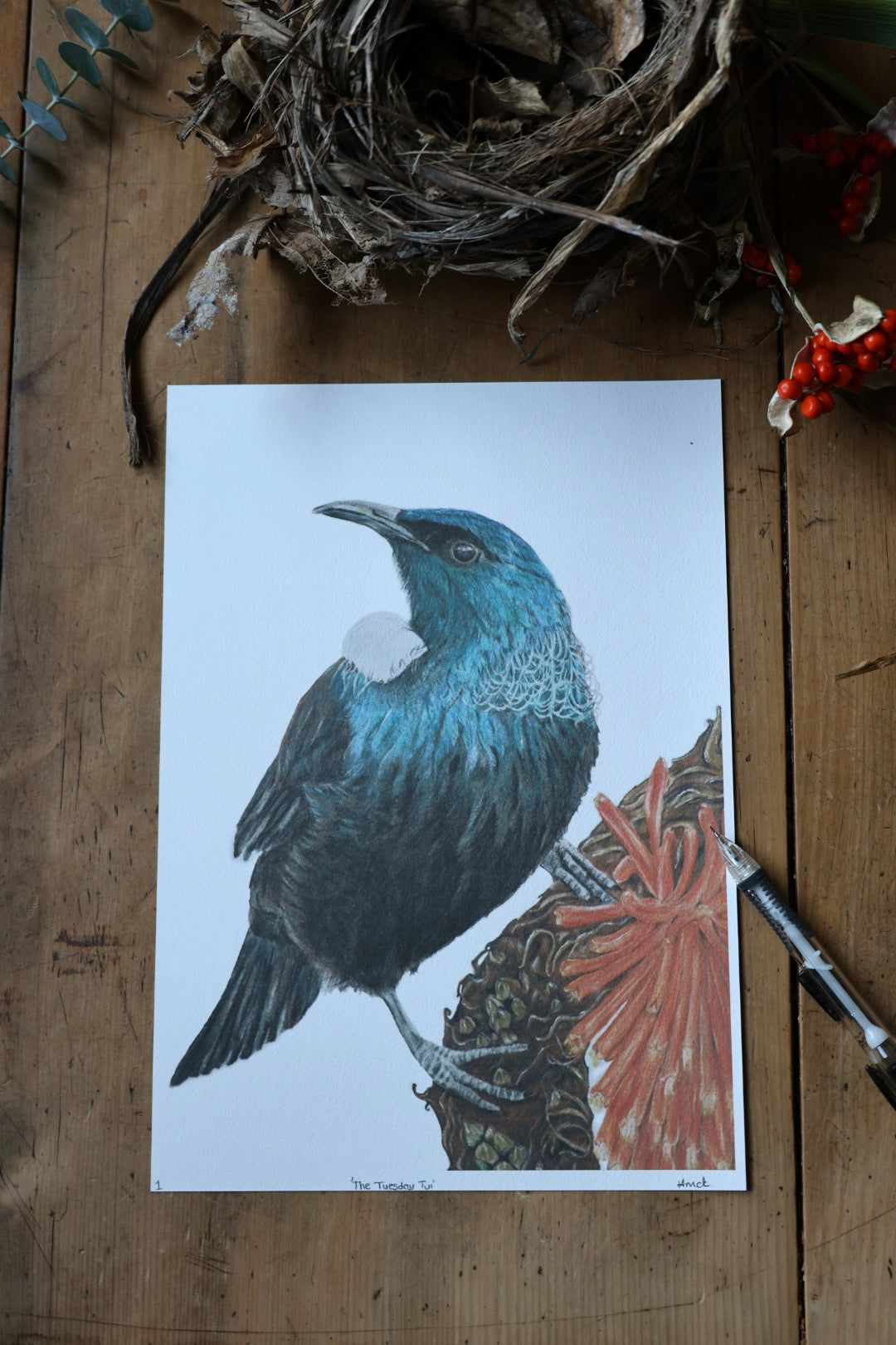 'The Tuesday Tui' Print