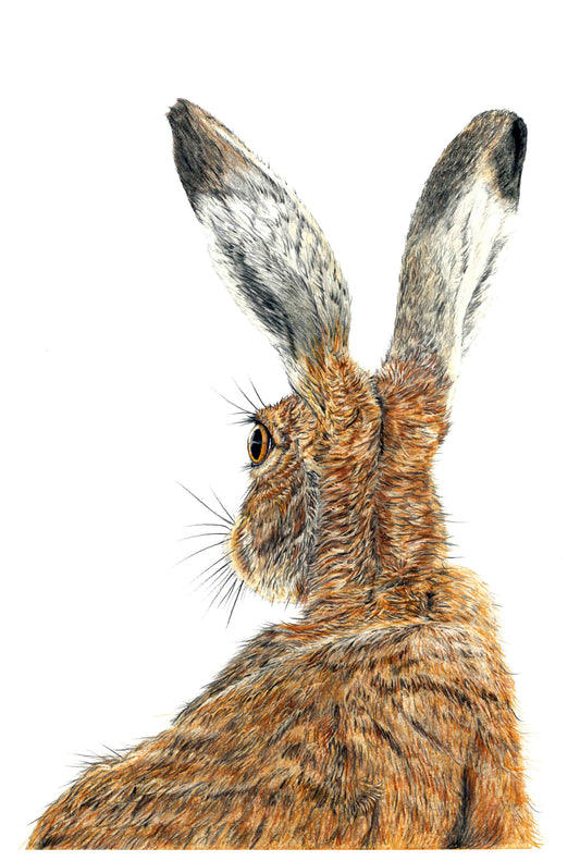 'I'm All Ears' Hare Print